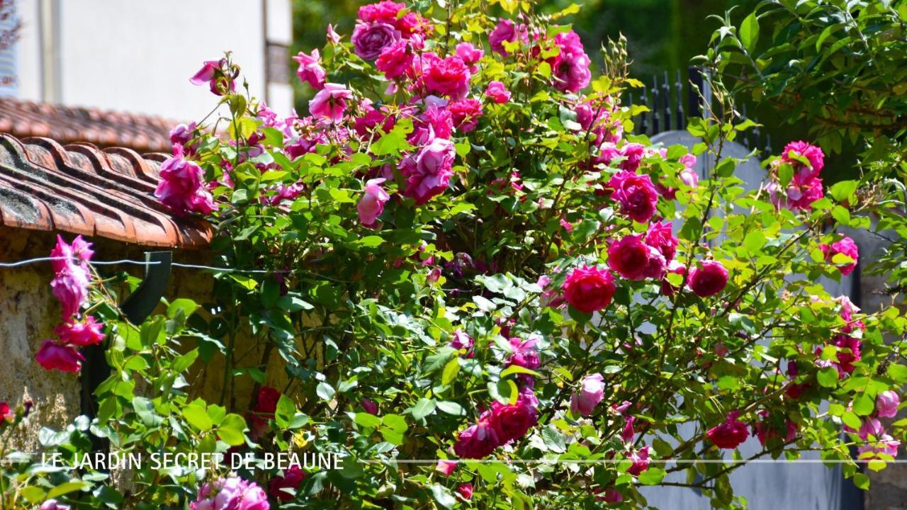 Le Jardin Secret De Beaune Beaune  Kültér fotó